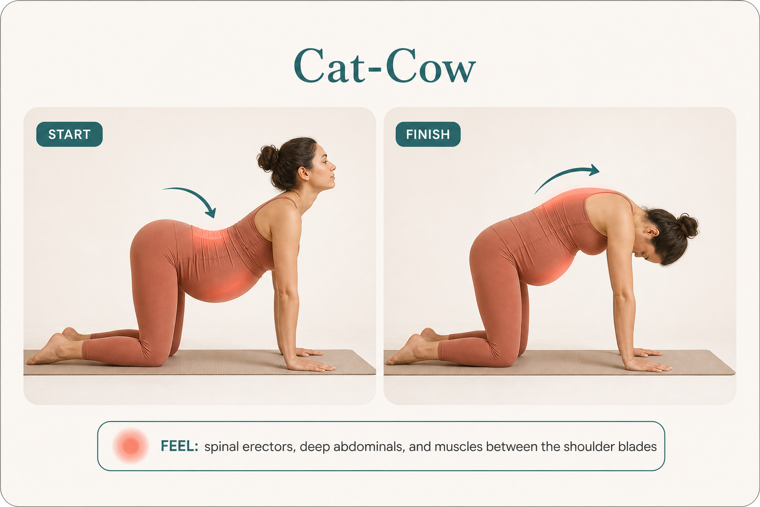 Cat-Cow